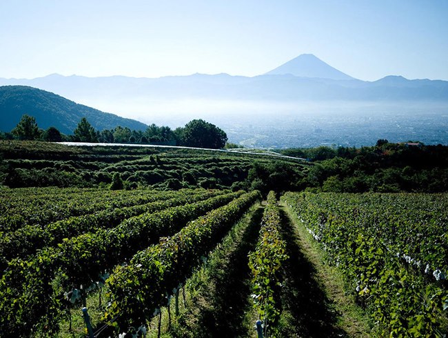 サントリーフロムファーム